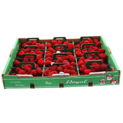 FRAMBOISE ROYAL 12X125G